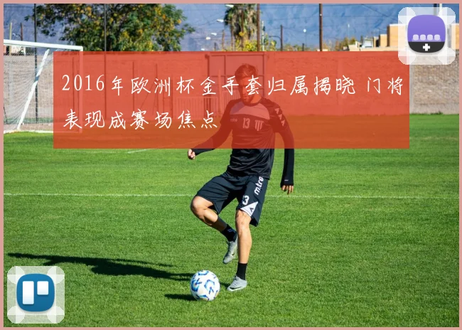 2016年欧洲杯金手套归属揭晓 门将表现成赛场焦点