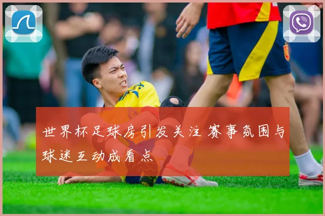 世界杯足球房引发关注 赛事氛围与球迷互动成看点
