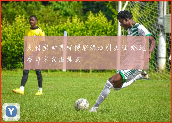 支付宝世界杯博彩玩法引关注 球迷参与方式成焦点