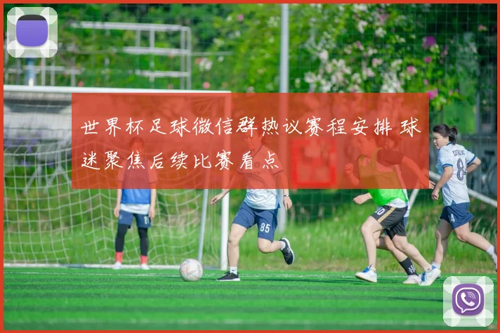 世界杯足球微信群热议赛程安排 球迷聚焦后续比赛看点