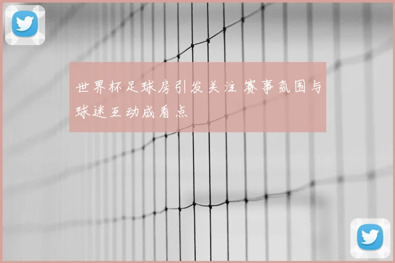 世界杯足球房引发关注 赛事氛围与球迷互动成看点