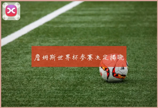 詹姆斯世界杯参赛决定揭晓